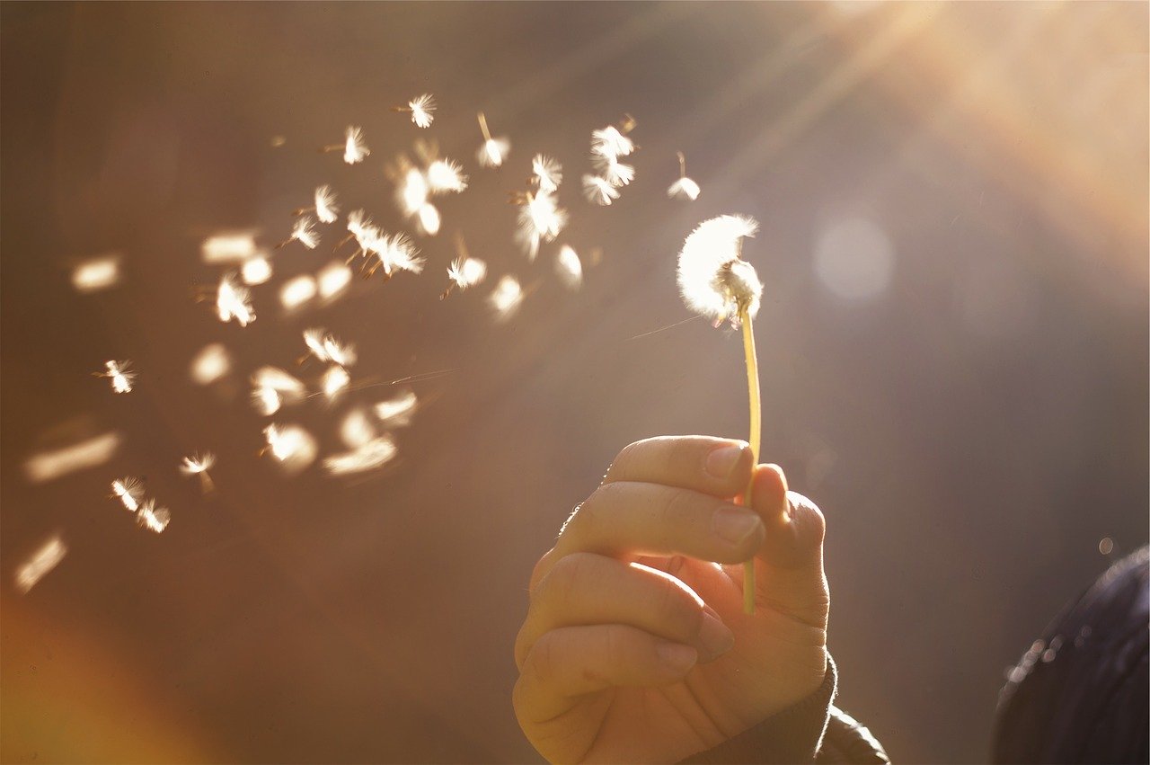 Trattamento a Sostegno delle Allergie Primaverili
